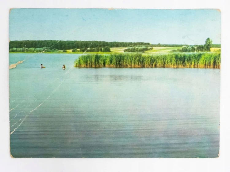 WIELKOPOLSKI PARK NARODOWY - JEZIORO WITOBELSKIE 1969