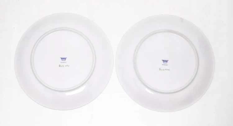 ZESTAW TALERZY PORCELANOWYCH - RYBA, THOMAS GERMANY