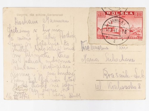 LEGNICA - ALEJA W GAJU PALMOWYM 1946