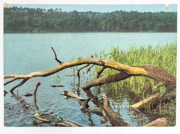 WIELKOPOLSKI PARK NARODOWY - JEZIORO GÓRECKIE PRL