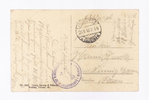 ŚWIĘTOSZÓW - POLIGON, MOST, RZEKA 1917 (PLESZEW, WROCŁAW)