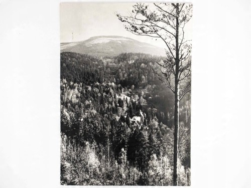 MIĘDZYGÓRZE - PANORAMA SCHRONISKO PTTK NA ŚNIEŻNIKU KŁODZKIM 1964 PRL