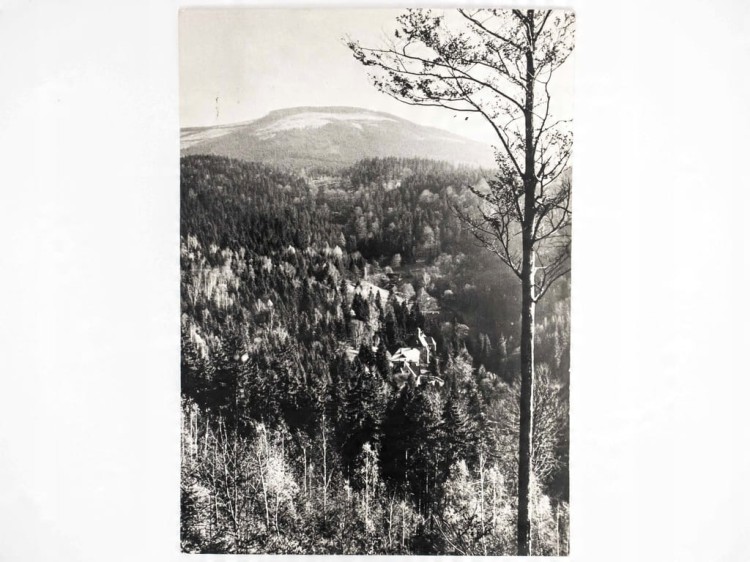 MIĘDZYGÓRZE - PANORAMA SCHRONISKO PTTK NA ŚNIEŻNIKU KŁODZKIM 1964 PRL
