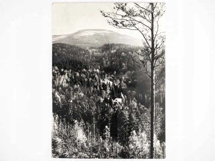 MIĘDZYGÓRZE - PANORAMA SCHRONISKO PTTK NA ŚNIEŻNIKU KŁODZKIM 1964 PRL