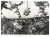 GDAŃSK - PANORAMA OLIWY Z WIDOKIEM NA KOŚCIÓŁ MATKI BOŻEJ 1963 PRL
