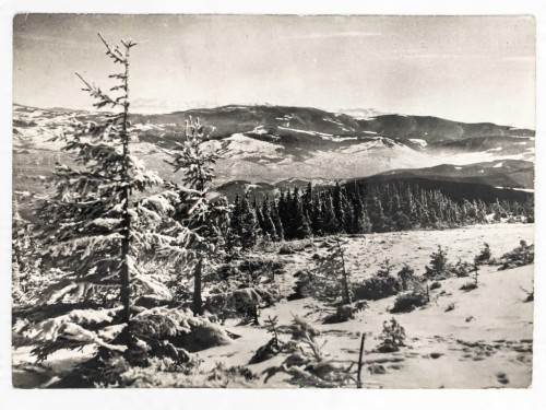 BESKID ŚLĄSKI - WIDOK ZE SKRZYCZNEGO NA BESKID ŻYWIECKI 1965 PRL