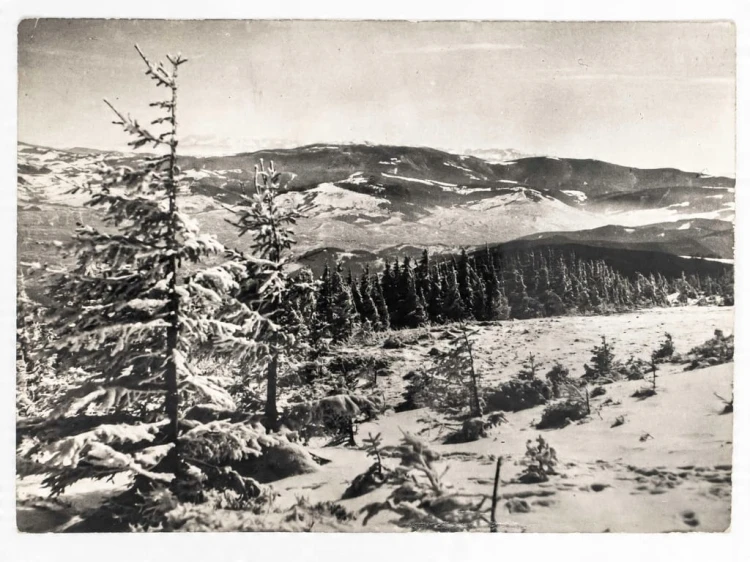 BESKID ŚLĄSKI - WIDOK ZE SKRZYCZNEGO NA BESKID ŻYWIECKI 1965 PRL