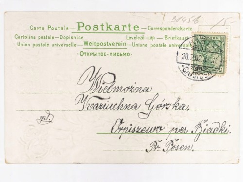 POCZTÓWKA - POLNE KWIATY GAARDEN KILONIA (KIEL) / ORPISZEW K. BIADKÓW 1902