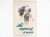 POCZTÓWKA - FIOŁKI I ŁABĘDZIE STEMPEL REG. PODBIELSKI GÓRZNO / PLESZEW 1917
