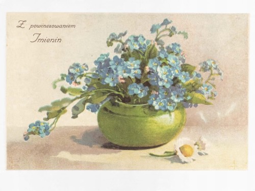 POCZTÓWKA IMIENINOWA - KWIATY W DONICZCE REMBERTÓW / PLESZEW 1928 II RP