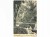 RIO DE JANEIRO - PAINEIRAS ZBIORNIK WODNY PUSZCZA BRAZYLIA / WSCHOWA 1908