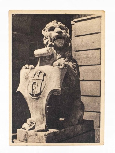 LWÓW - LEW PRZED BRAMĄ RATUSZA 1938
