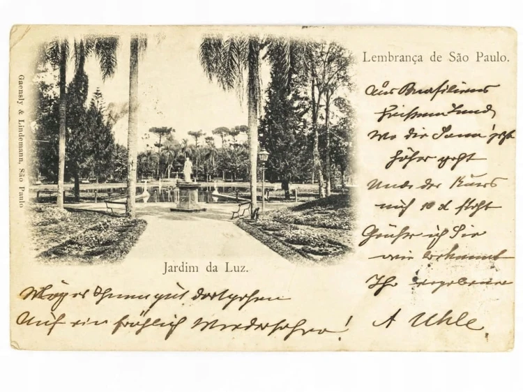 SAO PAULO - OGRÓD ŚWIATŁA JARDIM DA LUZ BRAZYLIA / NYSA 1900