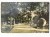 SAO PAULO - PARQUE ANTARCTICA COMPANHIA ANTARCTICA BRAZYLIA / WSCHOWA 1911