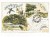 SAO PAULO - GÓRY SERRA DA CANTAREIRA BRAZYLIA / WSCHOWA 1898