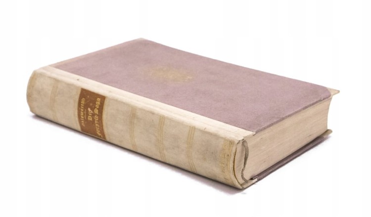 STARA KSIĄŻKA NIEMIECKA SAGA RODU FORSYTE'ÓW 1925