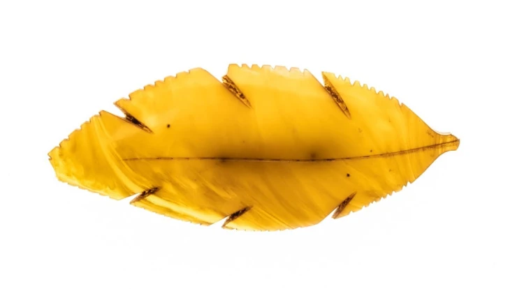 STARA BROSZKA LIŚĆ