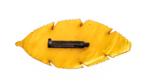 STARA BROSZKA LIŚĆ