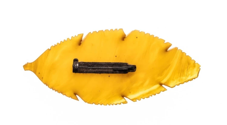 STARA BROSZKA LIŚĆ