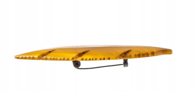 STARA BROSZKA LIŚĆ