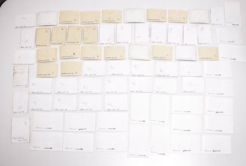 ZESTAW FOTOGRAFII RODZINNYCH - JAROSŁAWIEC, MRZEŻYNO, MIĘDZYZDROJE PRL