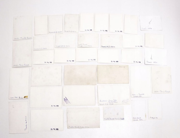 ZESTAW STARYCH FOTOGRAFII RODZINNYCH - POZNAŃ l. 60/70 PRL