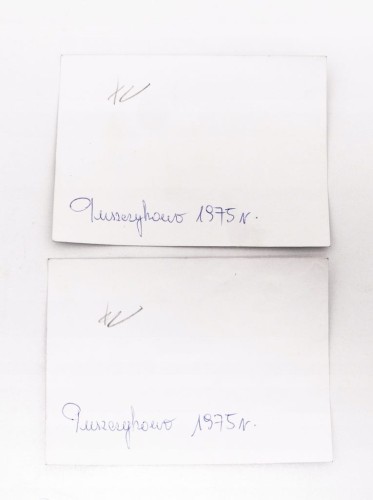 ZESTAW STARYCH FOTOGRAFII RODZINNYCH - PUSZCZYKOWO 1975