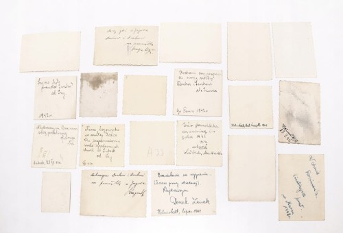 ZESTAW STARYCH FOTOGRAFII RODZINNYCH - POLACY NA WYGNANIU W NIEMCZECH II WŚ