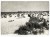 ŚWINOUJŚCIE - PLAŻA Z WCZASOWICZAMI 1963 PRL