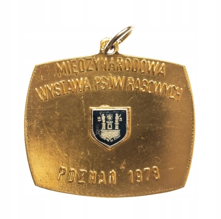 MEDAL ZWIĄZEK KYNOLOGICZNY, MIĘDZYNARODOWA WYSTAWA PSÓW, POZNAŃ 1978