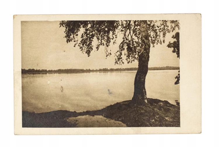 ŚWITEŹ - JEZIORO II RP