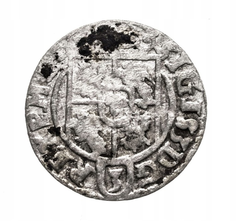 Polska, Zygmunt III Waza (1587-1632), półtorak 1624, Bydgoszcz