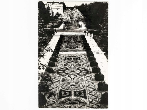 CIECHOCINEK - DYWAN KWIATOWY 1966 PRL