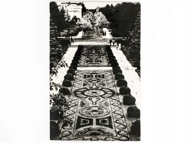 CIECHOCINEK - DYWAN KWIATOWY 1966 PRL