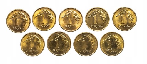 Polska, Rzeczpospolita od 1989 roku, zestaw 1 grosz 1990-2000, 9 sztuk