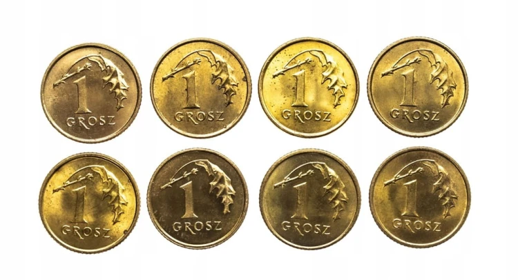 Polska, Rzeczpospolita od 1989 roku, zestaw 1 grosz 1990-2000, 8 sztuk