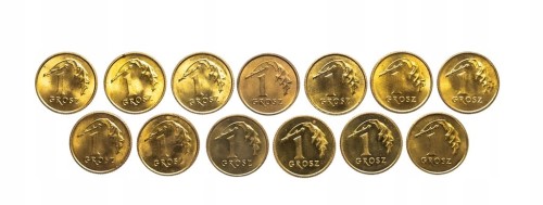 Polska, Rzeczpospolita od 1989 roku, zestaw 1 grosz 1995-1999, 13 sztuk