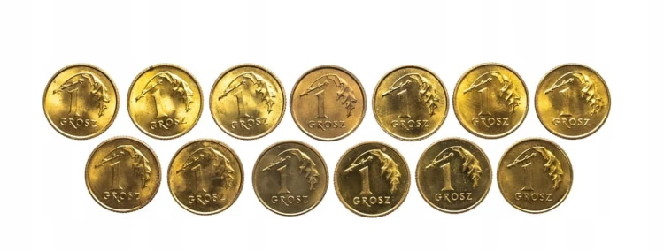 Polska, Rzeczpospolita od 1989 roku, zestaw 1 grosz 1995-1999, 13 sztuk