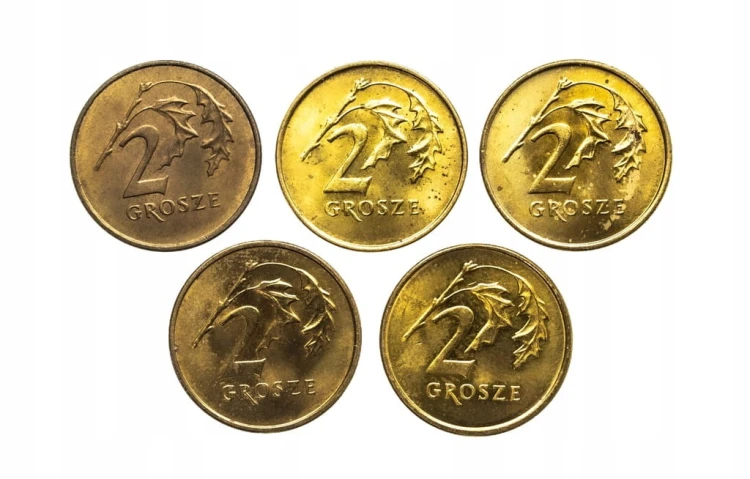 Polska, Rzeczpospolita od 1989 roku, zestaw 2 grosze 1990-1999, 5 sztuk
