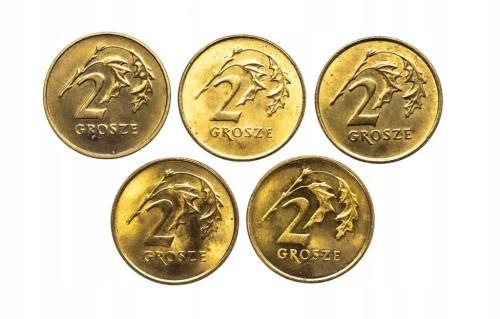 Polska, Rzeczpospolita od 1989 roku, zestaw 2 grosze 1990-1999, 5 sztuk