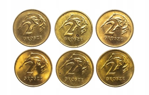 Polska, Rzeczpospolita od 1989 roku, zestaw 2 grosze 1990-1999, 6 sztuk