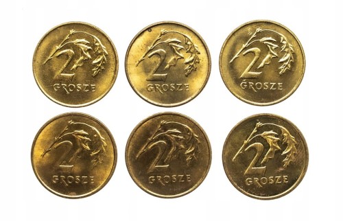 Polska, Rzeczpospolita od 1989 roku, zestaw 2 grosze 1990-1999, 6 sztuk