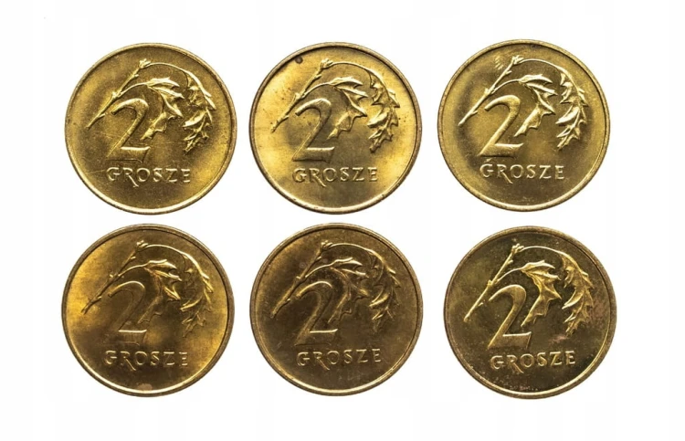 Polska, Rzeczpospolita od 1989 roku, zestaw 2 grosze 1990-1999, 6 sztuk