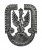 Polska, Rzeczpospolita od 1989 roku, Orzeł Lotniczy