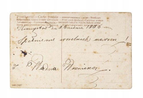 STARA POCZTÓWKA Z ŻYCZENIAMI - KRASNYSTAW 1906