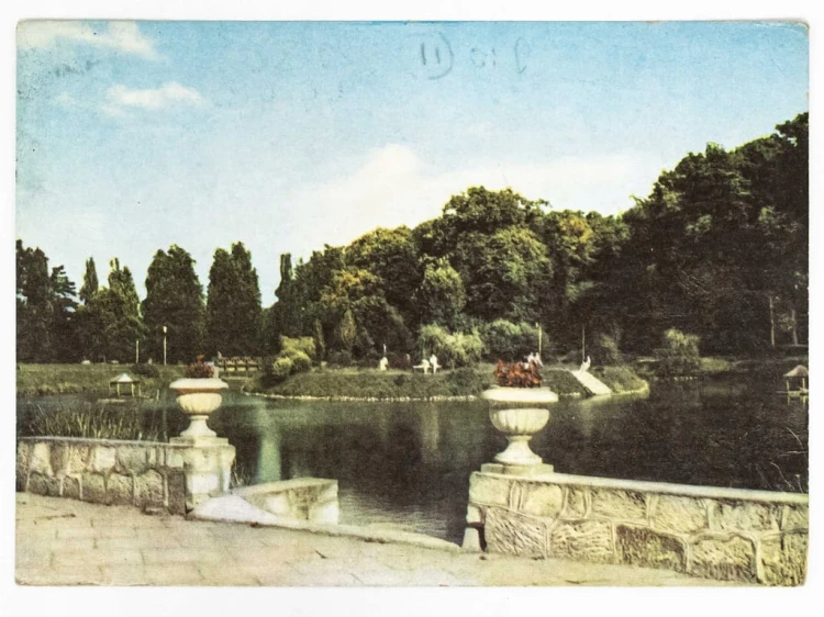 NAŁĘCZÓW - FRAGMENT PARKU ZE STAWEM I WYSPĄ 1965 PRL