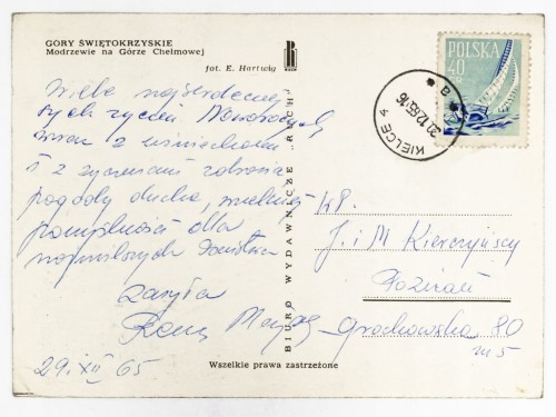 GÓRY ŚWIĘTOKRZYSKIE - MODRZEWIE NA GÓRZE CHEŁMOWEJ 1965 PRL
