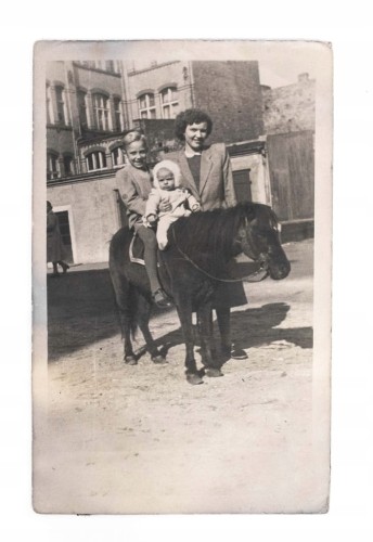 STARA FOTOGRAFIA - MAMA Z DZIEĆMI NA KUCYKU II RP