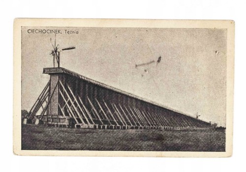 CIECHOCINEK - TĘŻNIA l. 50