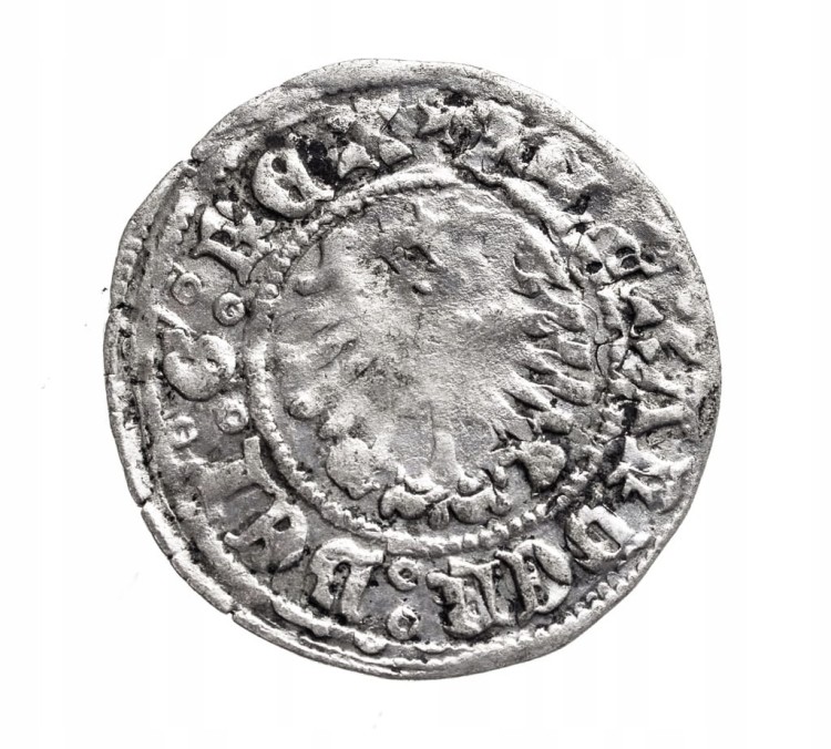 Polska, Aleksander (1501 - 1506), półgrosz, Kraków.
